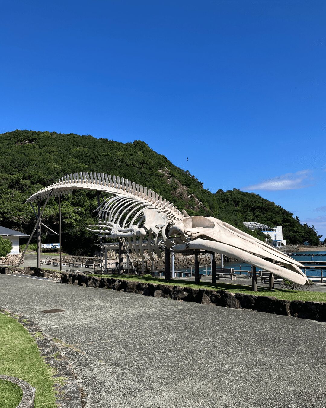 太地町立くじらの博物館