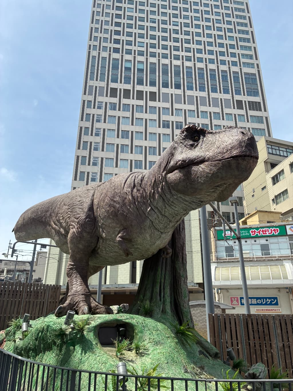 福井旅行の写真