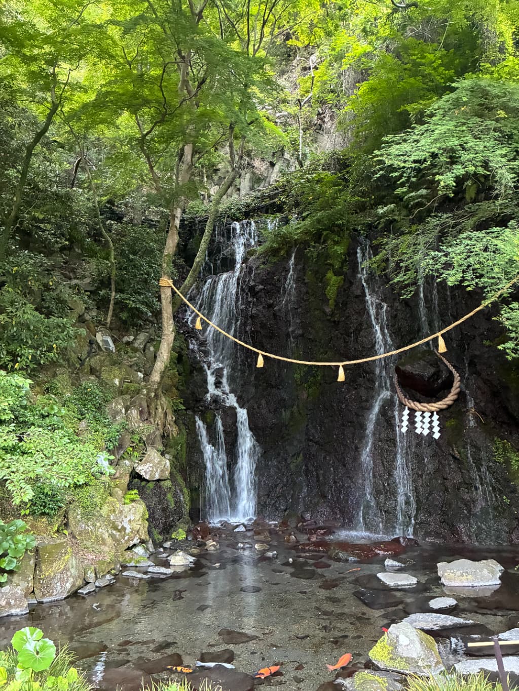 箱根のホテル『天成園』の庭園
