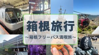 【箱根1泊2日】車無しで大涌谷や芦ノ湖の王道ルート！湯本グルメはカップルにもおすすめ